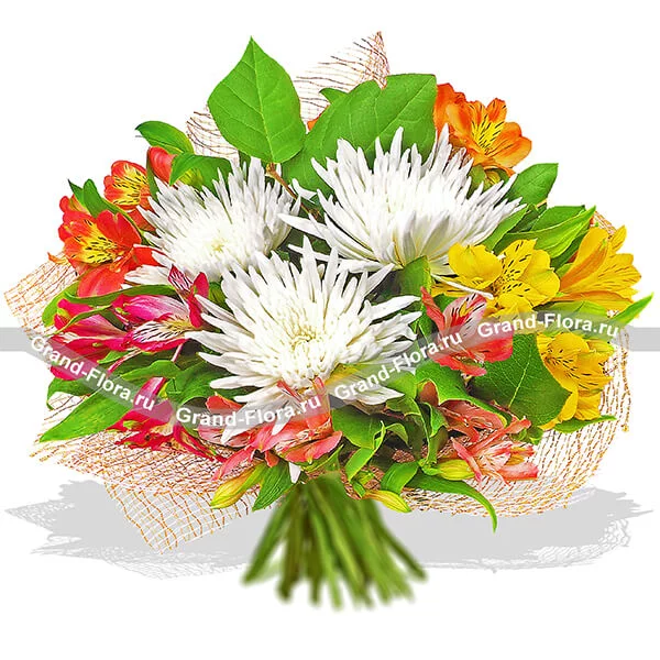 Идеальный роман - букет из хризантемы и альстромерии